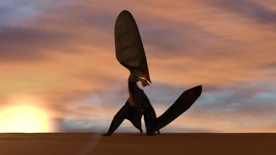 Tupandactylus pictures