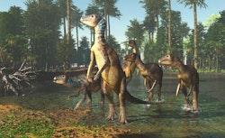 Weewarrasaurus pictures
