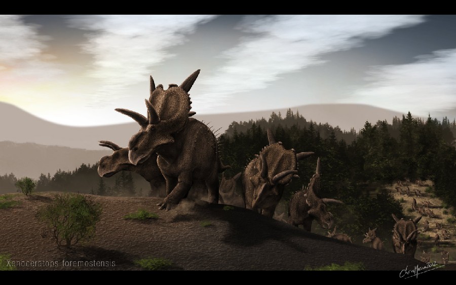 Xenoceratops pictures