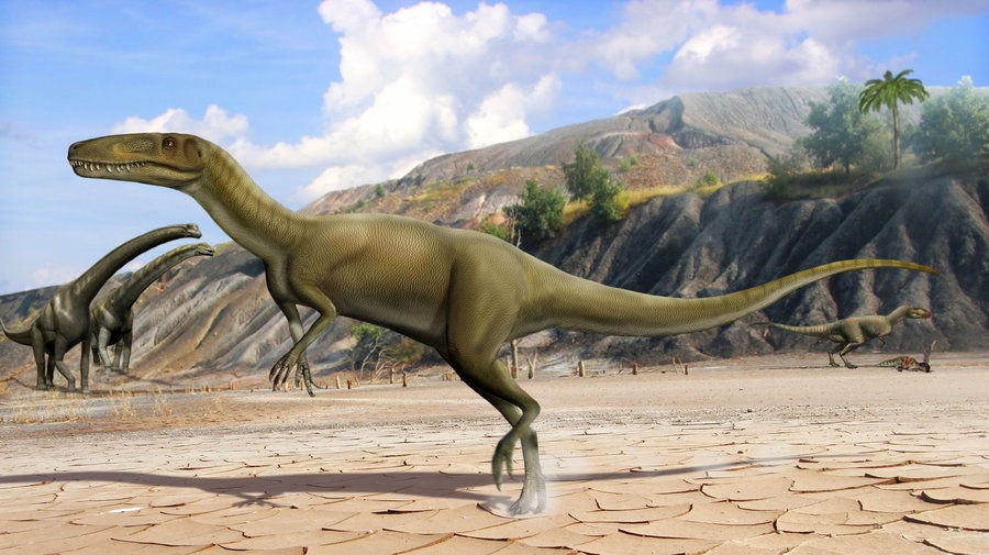 Xiongguanlong pictures