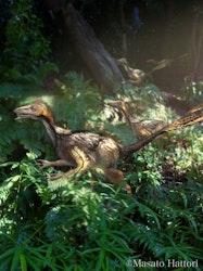 Yixianosaurus pictures