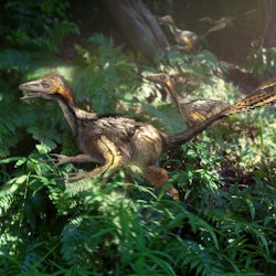 Yixianosaurus pictures