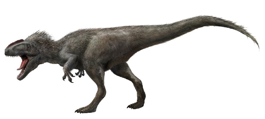 Yutyrannus pictures