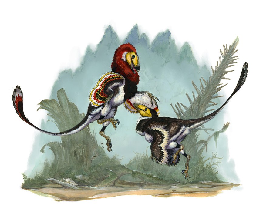 Achillobator pictures