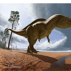 Acrocanthosaurus pictures