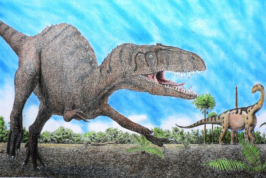 Afrovenator pictures