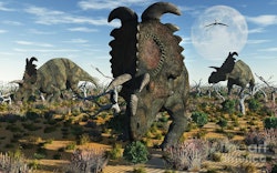 Albertaceratops pictures