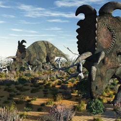 Albertaceratops pictures