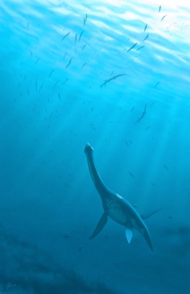 Alexeyisaurus pictures