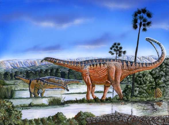 Amazonsaurus pictures