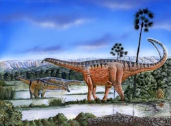 Amazonsaurus pictures