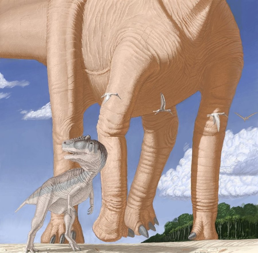 Amphicoelias pictures