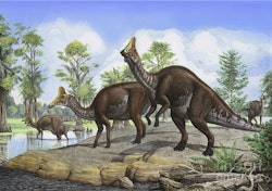 Deinocheirus dinosaurs, illustration - Stock Image - C048/2646 - Science  Photo Library