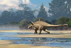 Majungasaurus Pictures & Facts - The Dinosaur Database