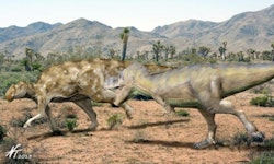 Aralosaurus pictures