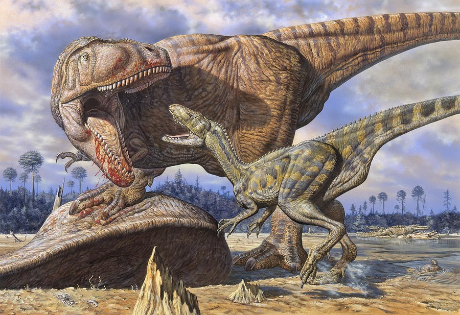 Carcharodontosaurus pictures