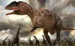 Carcharodontosaurus pictures