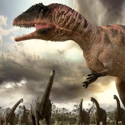 Carcharodontosaurus pictures