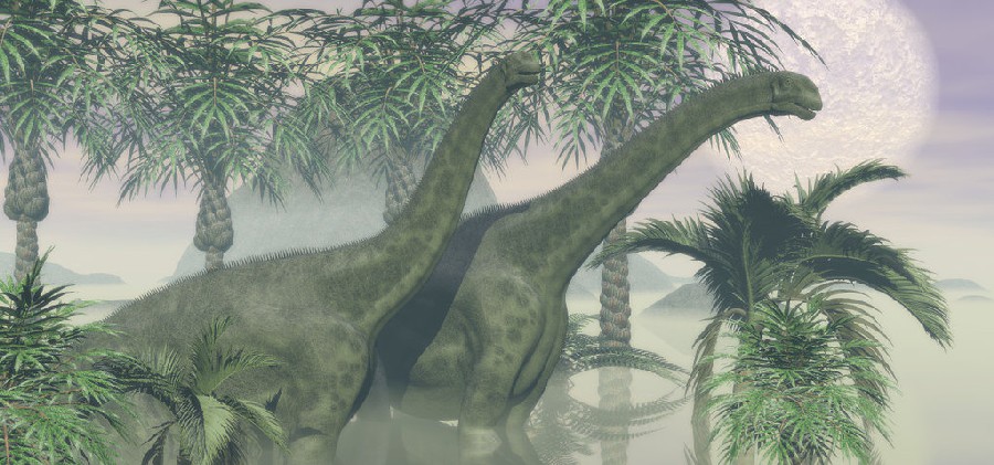 Cetiosaurus pictures