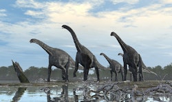 Cetiosaurus pictures
