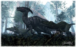 Charonosaurus pictures