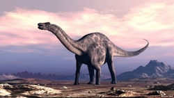 Dicraeosaurus pictures