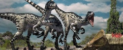 Dromaeosaurus pictures