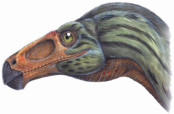 Erlikosaurus pictures