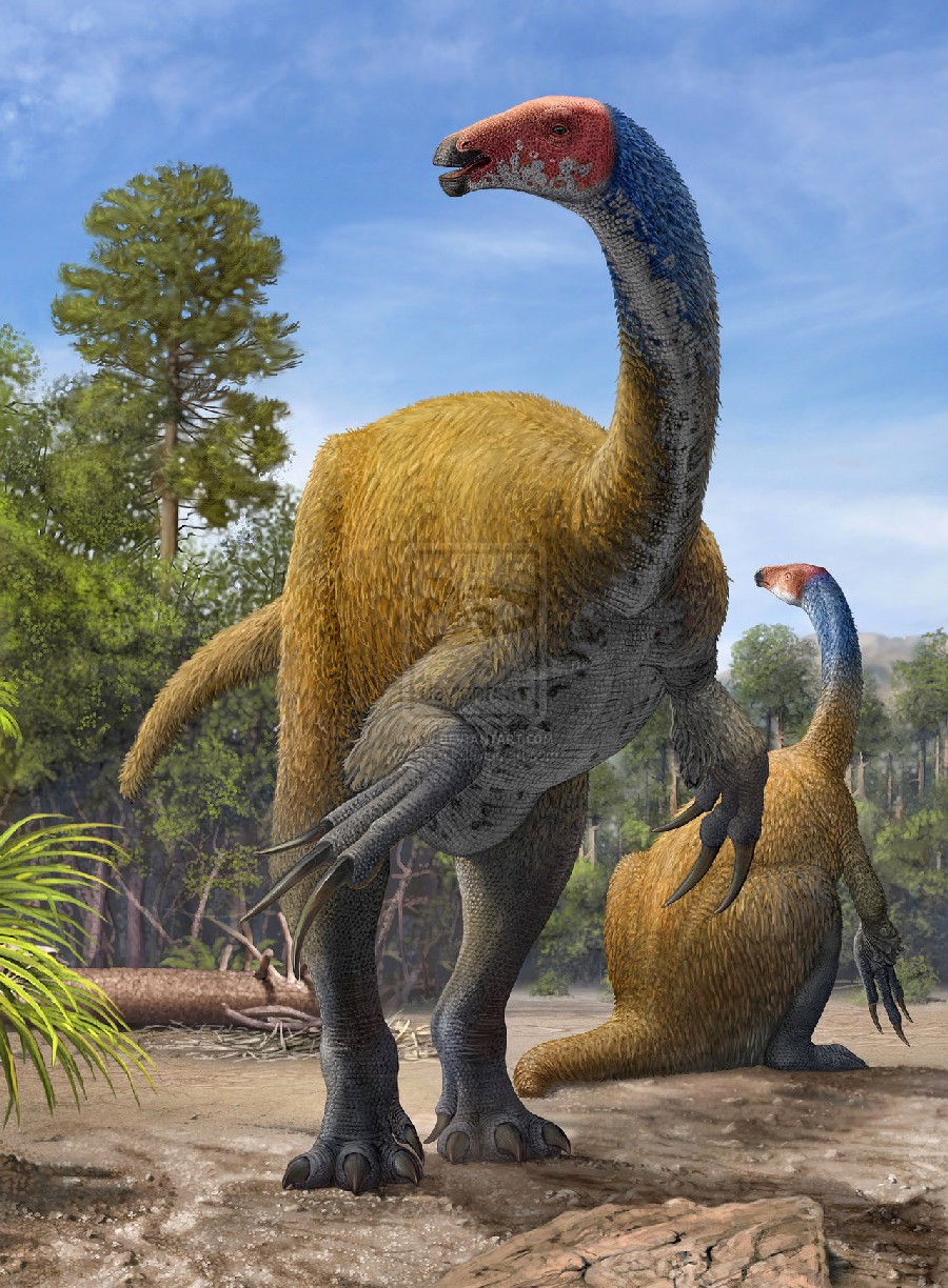 Fukuititan Pictures & Facts - The Dinosaur Database