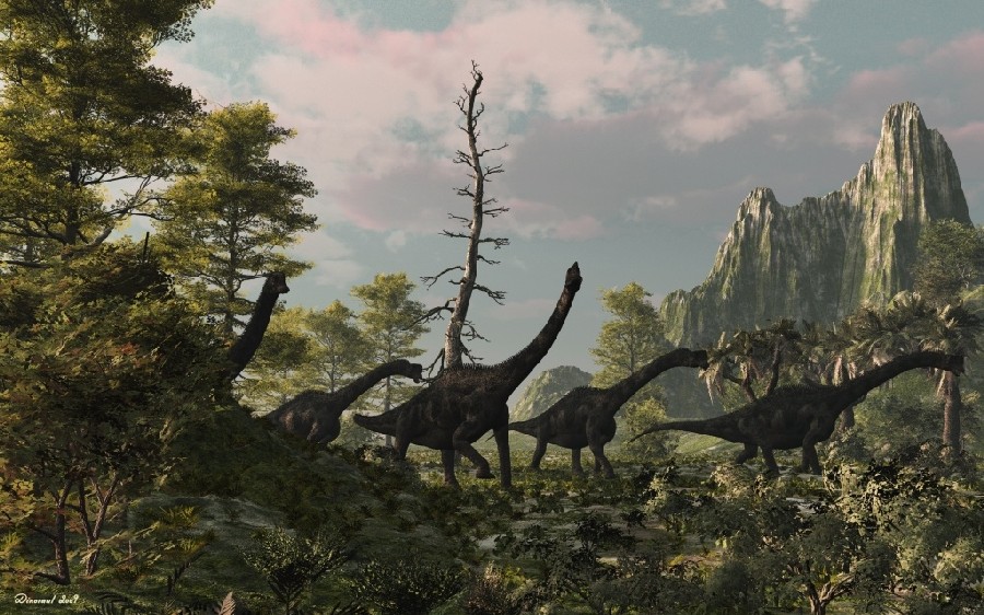 Europasaurus pictures