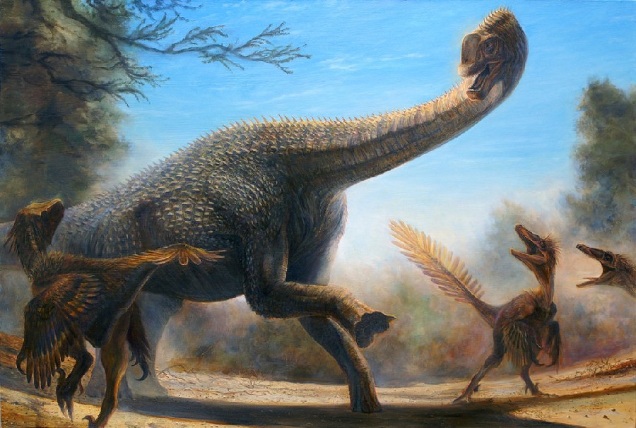 Europasaurus pictures