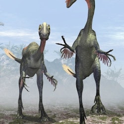 Gigantoraptor pictures