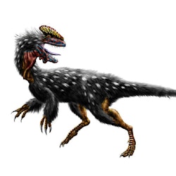 Guanlong pictures