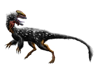 Guanlong pictures