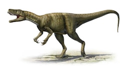 Herrerasaurus pictures