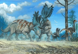 Utahceratops pictures