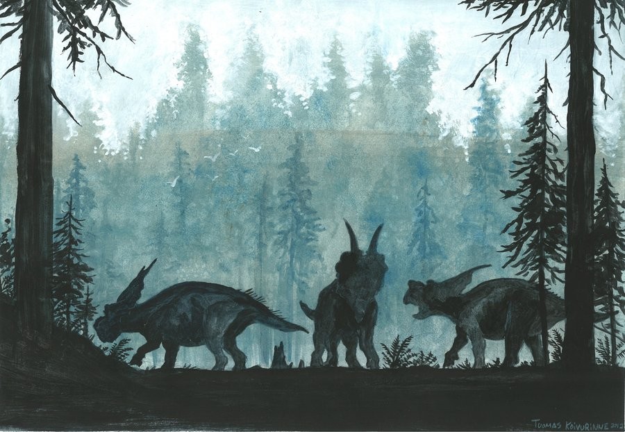 Achelousaurus pictures