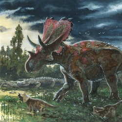 Mercuriceratops pictures