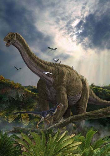 Huanghetitan pictures