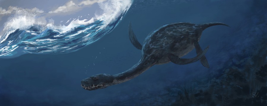 Plesiosaurus pictures