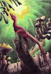 Jinfengopteryx pictures