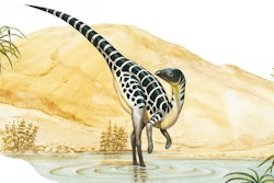 Leaellynasaura pictures