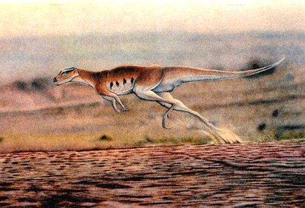 Lesothosaurus pictures