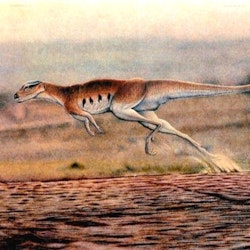 Lesothosaurus pictures