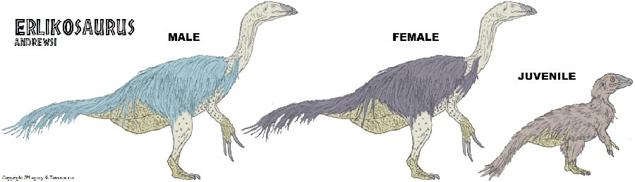 Erlikosaurus pictures