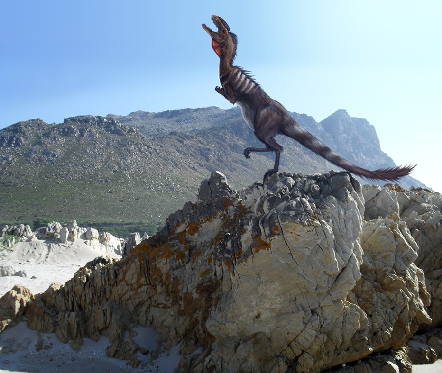 Megapnosaurus pictures