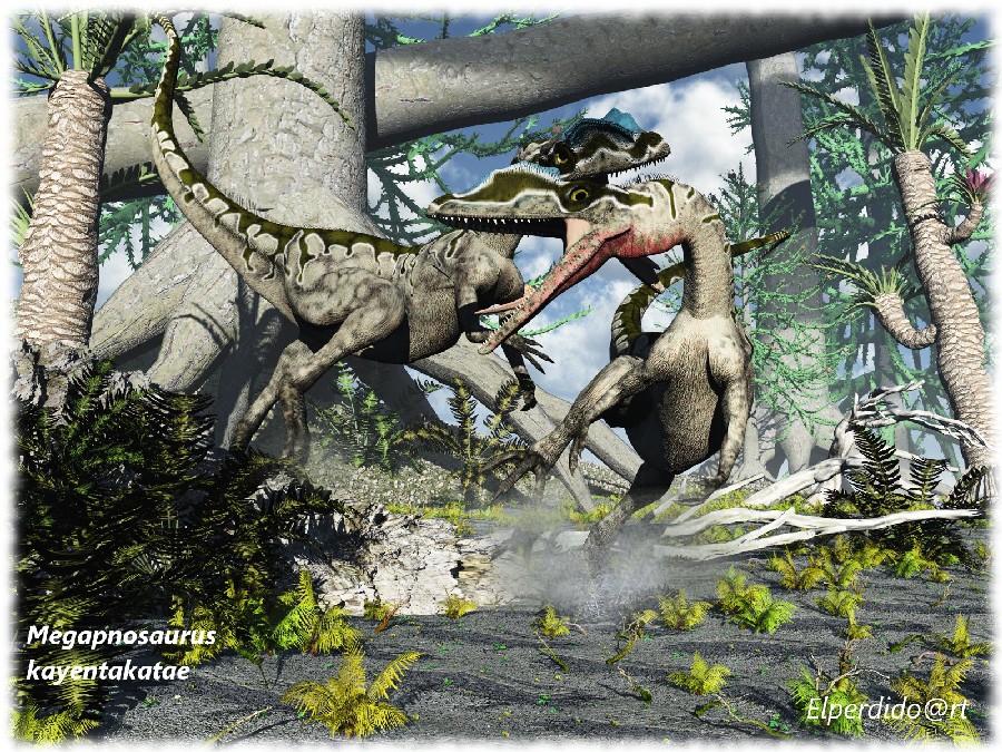 Megapnosaurus pictures