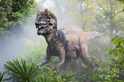 Metriacanthosaurus pictures