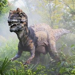 Metriacanthosaurus pictures