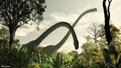 Omeisaurus pictures
